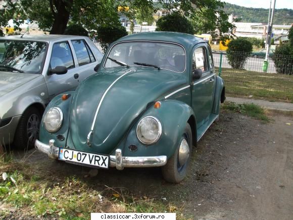 broasca verde - am fost azi si am facut poze :) - Am vazut prin Cluj-Napoca