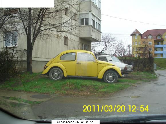 broscutza galbena din oradea - danS25 - Vanatoarea de epave
