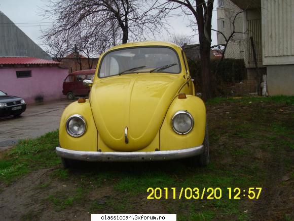 broscutza galbena din oradea - danS25 - Vanatoarea de epave