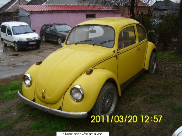 broscutza galbena din oradea - danS25 - Vanatoarea de epave
