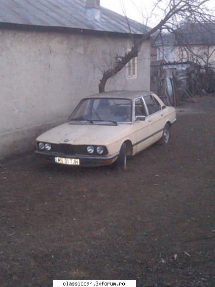 din Vrancea - E 12 sau E 28? - Am vazut azi acest exemplar intr-o curte... vad - Am vazut prin Romania