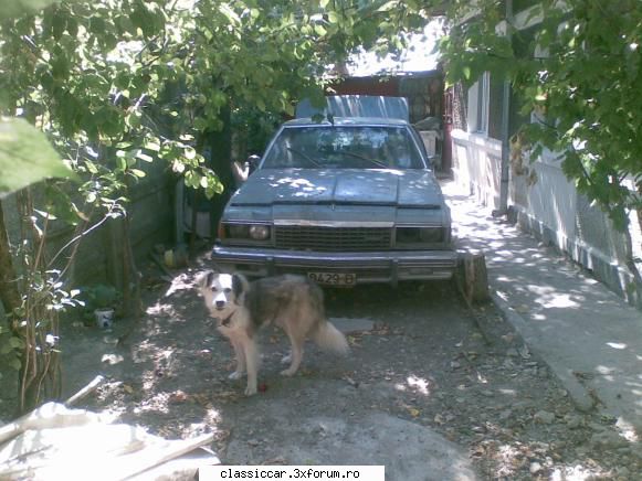 din buzau - bogdan 1977 - Am vazut prin Romania