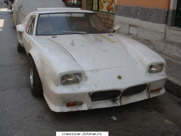 din grecia - si lotusul acesta este uitat in strada - Din lumea larga