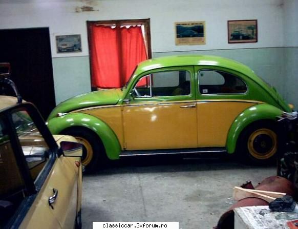fiara rosie - Brotacul meu verde este din octombrie 1963, dar - Reconditionari si Restaurari