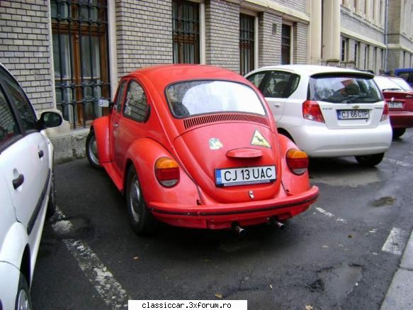 identificare broasca, adica...a cui e? - Misu de Cluj - Am vazut prin Cluj-Napoca
