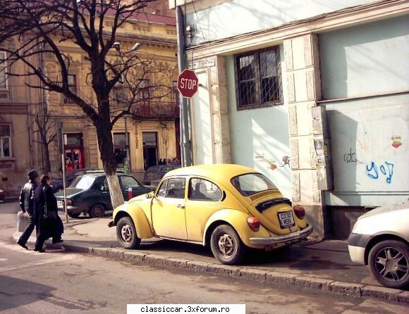 identificare broasca, adica...a cui e? - Misu de Cluj - Am vazut prin Cluj-Napoca