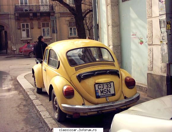 identificare broasca, adica...a cui e? - Misu de Cluj - Am vazut prin Cluj-Napoca