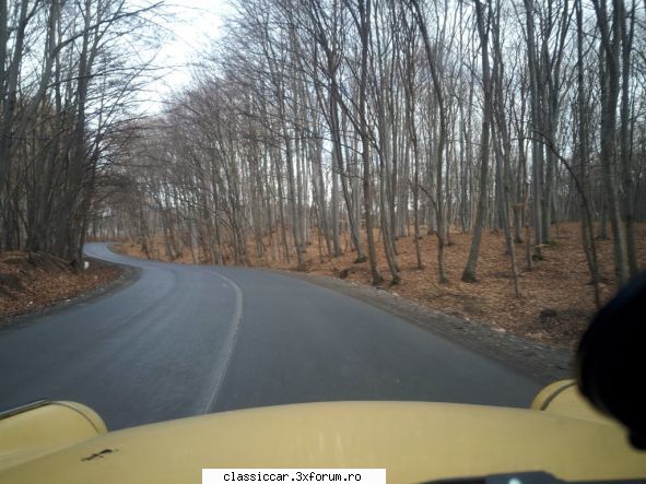 in zona - szasz andras - Drumetii prin Mioritic