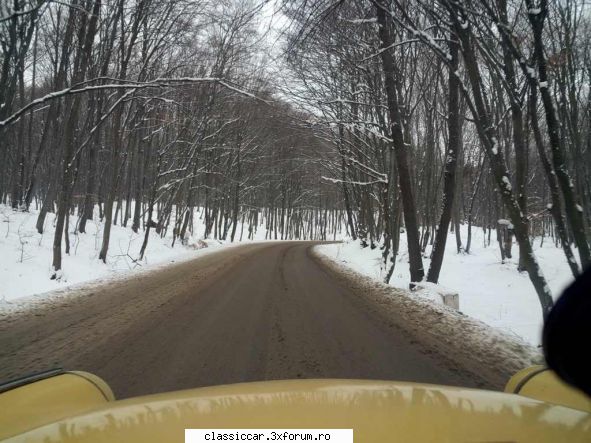 in zona - szasz andras - Drumetii prin Mioritic
