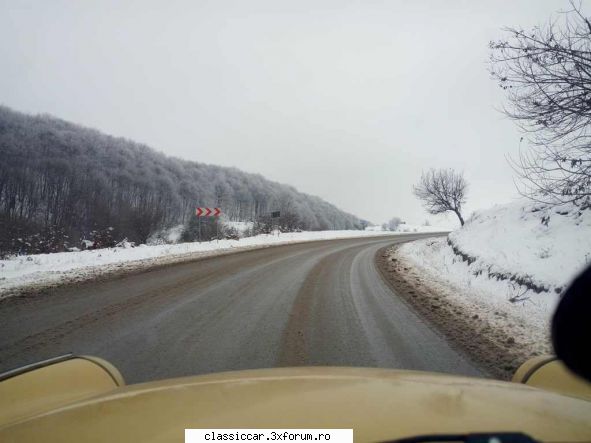 in zona - szasz andras - Drumetii prin Mioritic
