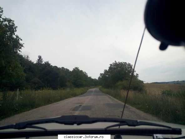 in zona - szasz andras - Drumetii prin Mioritic