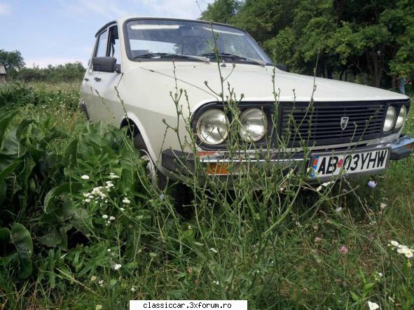 in zona - szasz andras - Drumetii prin Mioritic