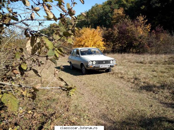 in zona - szasz andras - Drumetii prin Mioritic