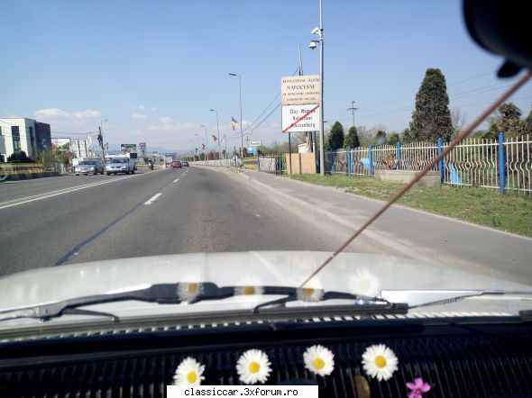 in zona - szasz andras - Drumetii prin Mioritic