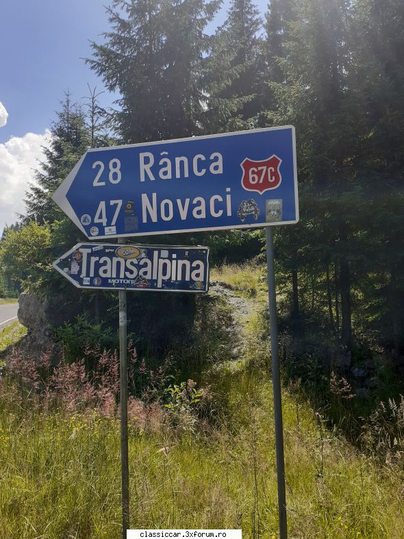 in zona - szasz andras - Drumetii prin Mioritic
