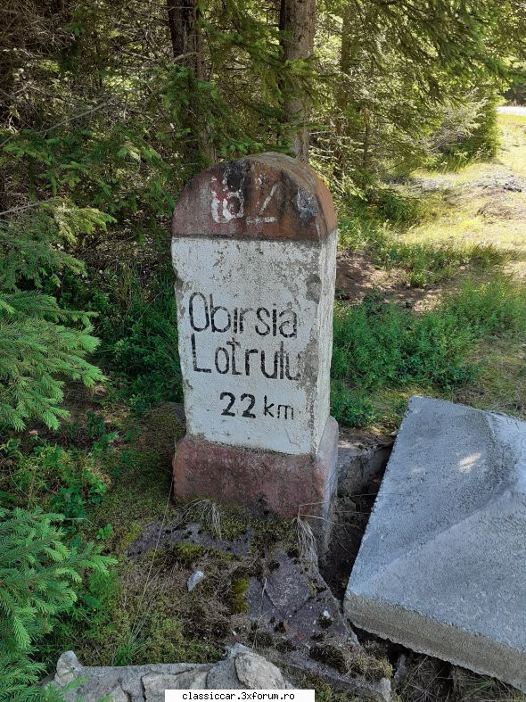 in zona - szasz andras - Drumetii prin Mioritic