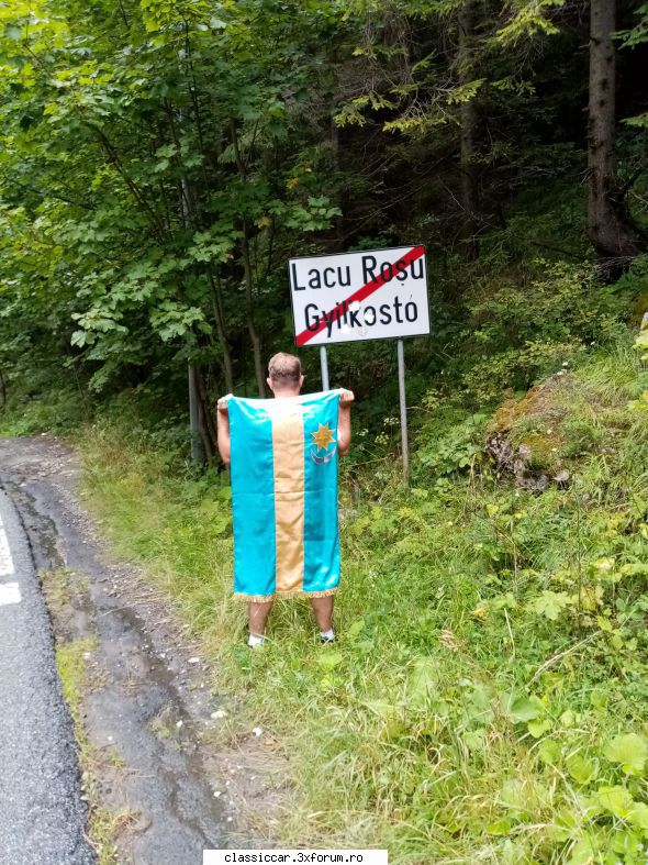 in zona - szasz andras - Drumetii prin Mioritic