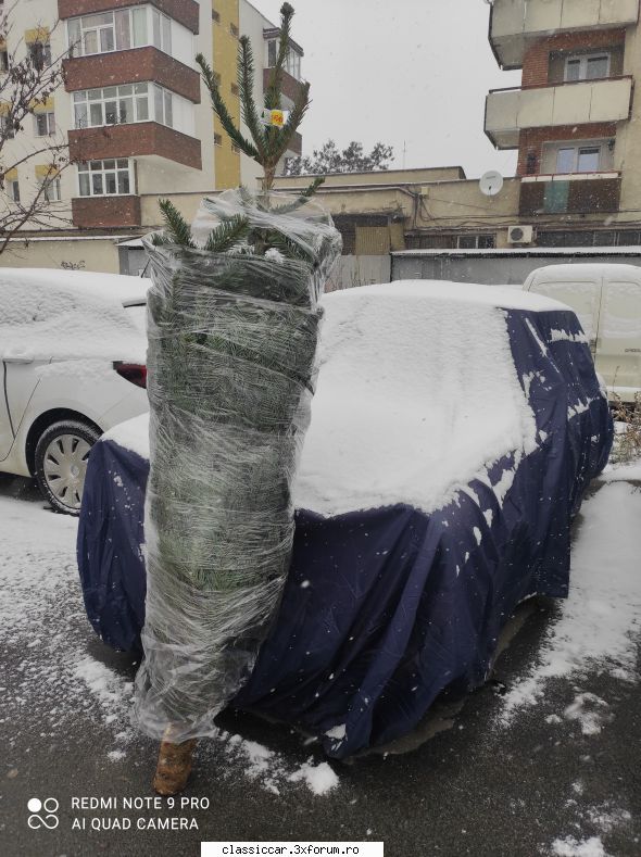 in zona - va urma sper....viata e prea scurta - Drumetii prin Mioritic