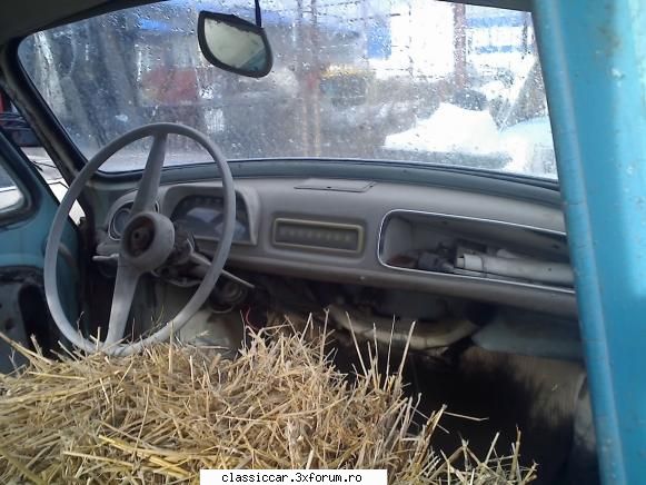 mai sint si alti vinatori - Doarme catelul in ea - Vanatoarea de epave