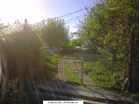 multe Aro-uri - tot pe strada rahova din cluj nu se vand - Am vazut prin Cluj-Napoca