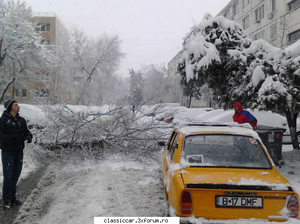 niste skode,o dacie. - Era s-o belesc azi.Ditai pomul acazut la cca 5 cm - Prezentare masini