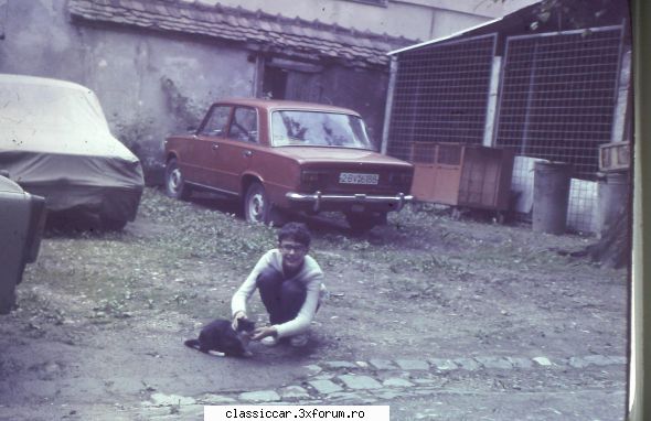 niste skode,o dacie. - Ultima pe moment. De mic eram cu pisicile - Prezentare masini