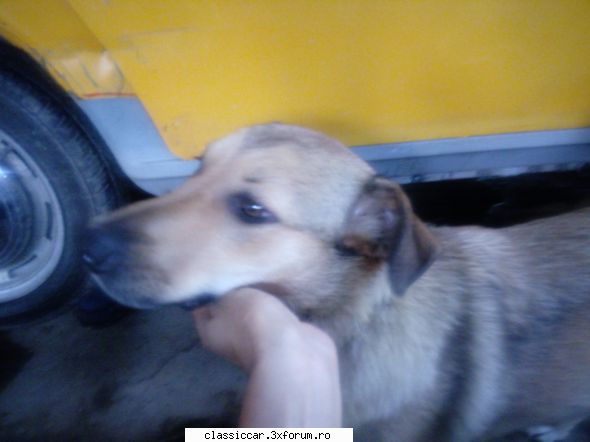 niste skode,o dacie. - Aici in spate,o sa o repar dupa ce prind un pic - Prezentare masini