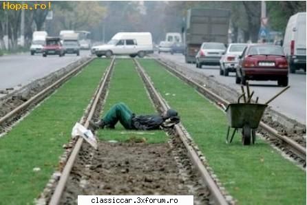 o foto... - Si atunci deranjezi pe ala de pe iarba care - Coltul vesel