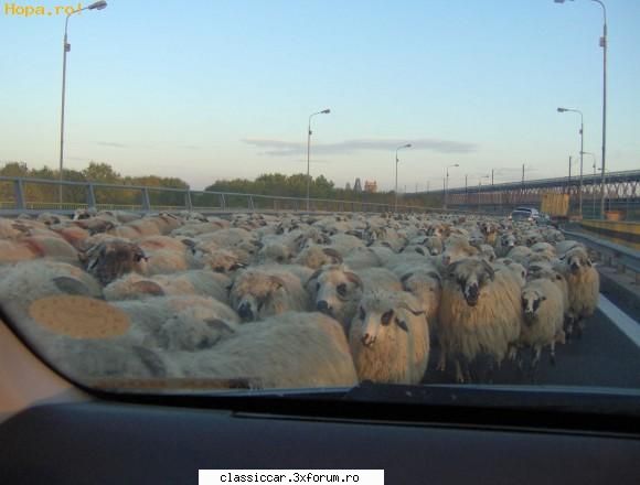 o foto... - Aglomeratie de sfarsit de saptamana pe autostradA - Coltul vesel