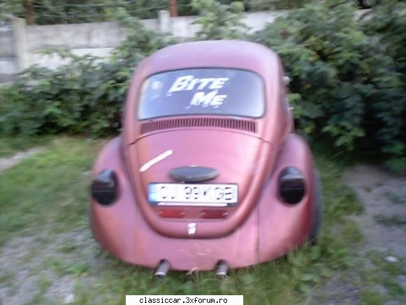 o mica "rezervatie" - o broscuta...mi-a placut mesajul de pe luneta - Am vazut prin Cluj-Napoca