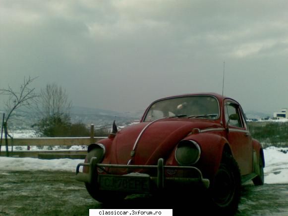 plimbari - whoratiu - Am vazut prin Cluj-Napoca