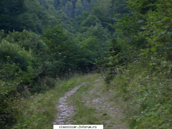 prezentare M461 - zaharie - Prezentare masini
