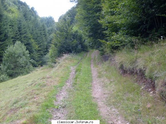 prezentare M461 - zaharie - Prezentare masini