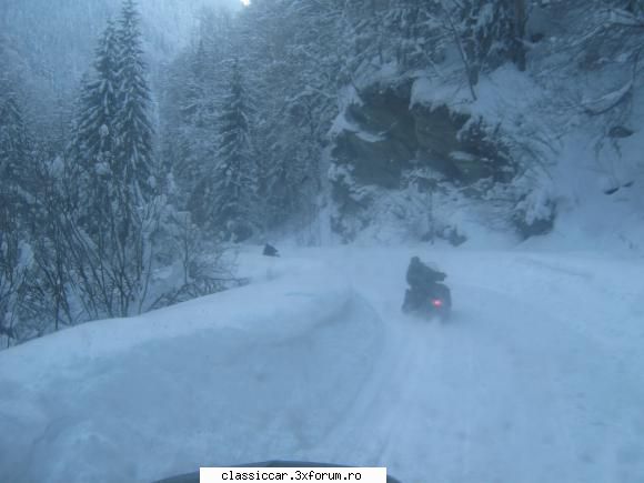 prezentare M461 - alti vitezomani - Prezentare masini