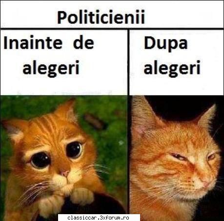 protest cu autoturisme - Nu pre stiam unde sa pun da' poate merge si aici - Discutii libere