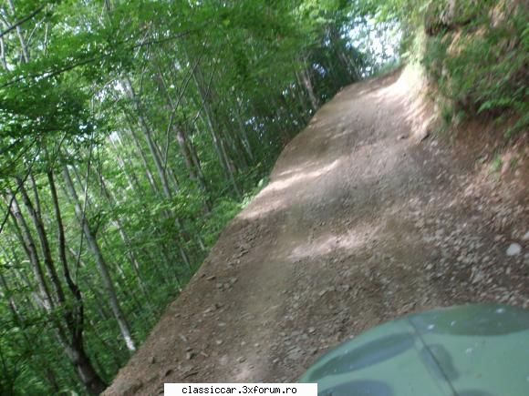 racatau 4x4 only - şi am tot urcat. din pacate e greu şi - Drumetii prin Mioritic