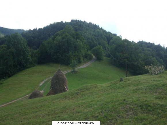 racatau 4x4 only - spre balta - peisaj - Drumetii prin Mioritic
