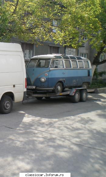 recensamant vw t1 - samba de la herculane, care a ajuns la timisoara - Registru pe marci