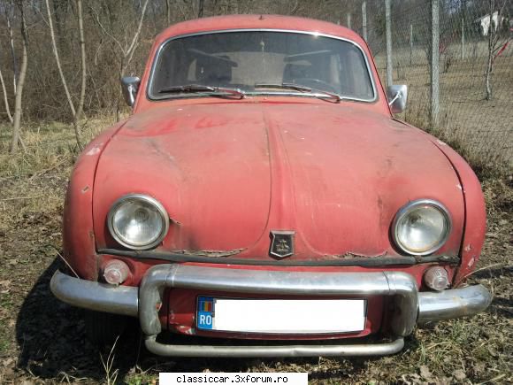salutare tuturor - pozele cu gordini meu ;) - Prezentare forumisti