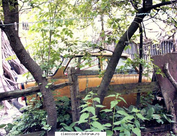 trabant zorilor - Misu de Cluj - Am vazut prin Cluj-Napoca