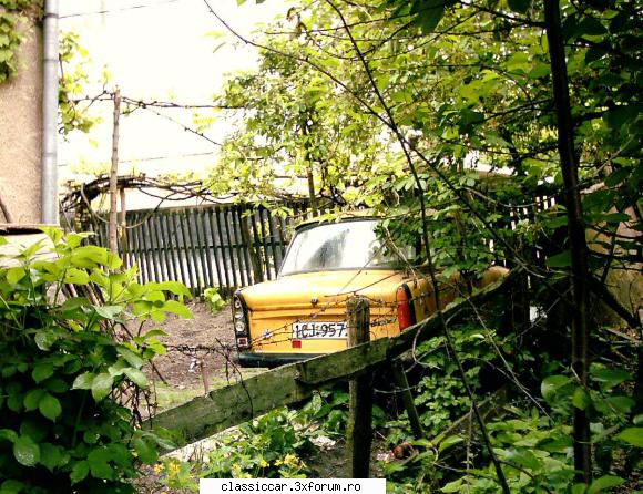 trabant zorilor - Misu de Cluj - Am vazut prin Cluj-Napoca