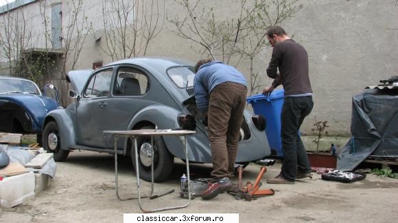 user nou: Komissar - broastei gri i s-a dat jos motorul... pt. a fi - Prezentare forumisti
