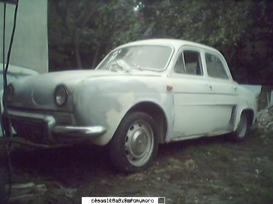 va salut si felicitari pentru forum . - dauphine gordini alb - Prezentare forumisti