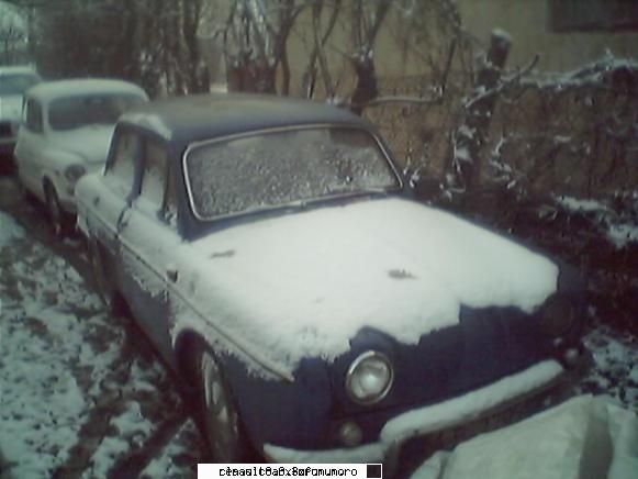 va salut si felicitari pentru forum . - dauphine gordini albastru - Prezentare forumisti