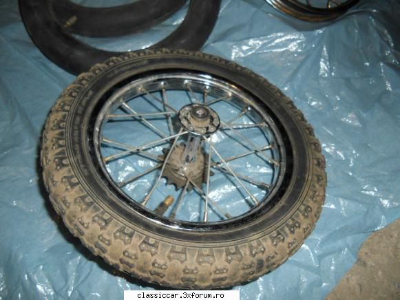 vand pegas soim (raritate) - ghizmo - Vanzari-Cumparari biciclete