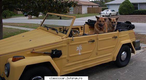 vw 181 ,alintat kubelwagen . - Asta da protectie,hotii ar avea un pic de lucru - Prezentare masini