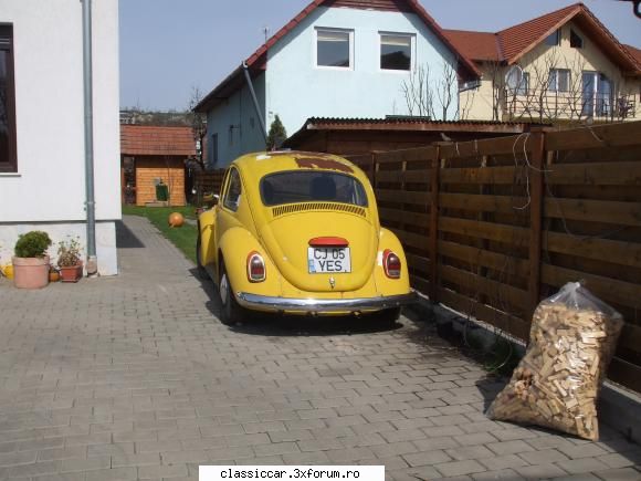 vw broasca - o broasca post 65 int-o curte pe strada Asachi - Am vazut prin Cluj-Napoca