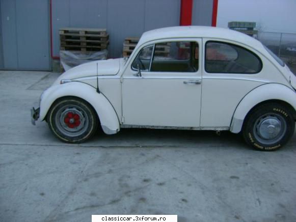 vw kafer 1200 - detin nasina de aproximativ 5 ani , timp in care - Prezentare masini