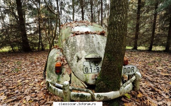 vw ovali - Ovali asta, de cand sta aici?cred ca proprietarul - Prezentare masini