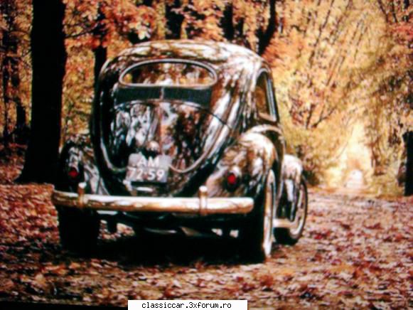 vw ovali - Toamna si Ovali - Prezentare masini